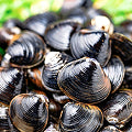 Image of that ingredient.